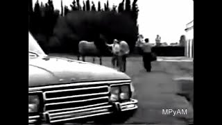 Ford Falcon (1973)