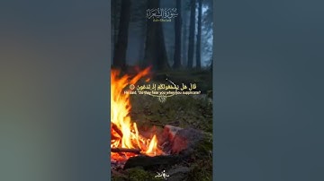 سورة الشعراء كاملة 🍁 عبدالله الموسى #سورة_الشعراء #عبدالله_الموسى #مساعد_الدوسري #اكسبلور #islamic