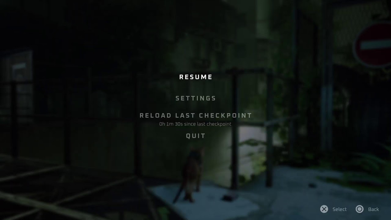 El gamer millennial - Stray