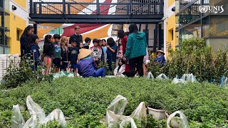Impact Grants: Your Ideas Can Make a Difference! | UNIS Hanoi