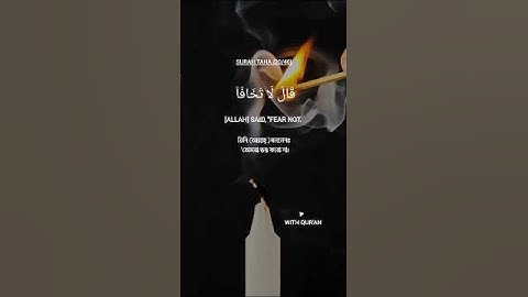 قَالَ لَا تَخَافَا |راحة نفسية رهيبة|سبحان من وهبه هذا الصوت|احدث تلاوات|محمد ديبيروف #quran#اكسبلور
