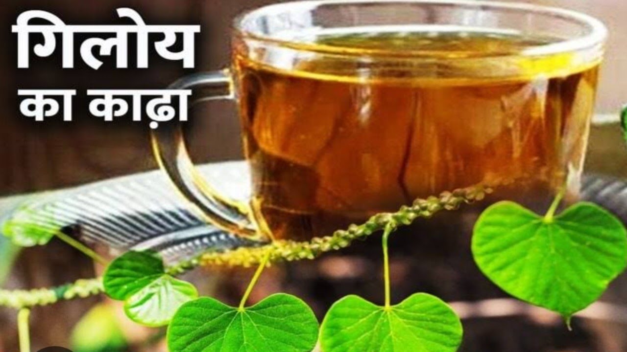 बारिश में होने वाली बिमारियों का रामबाण इलाज | Neem giloy kadha recipe | Imunity booster kadha