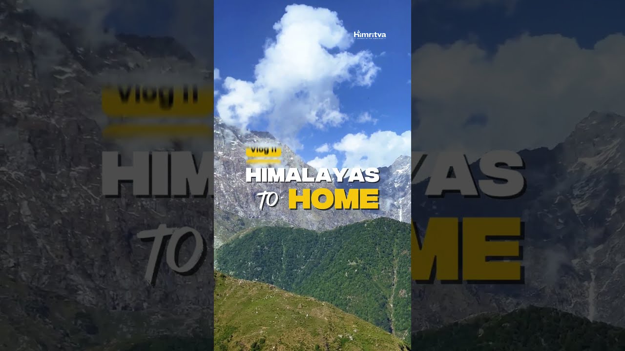 Himalayas To Home - Vlog 11 (Himalayan Honey)