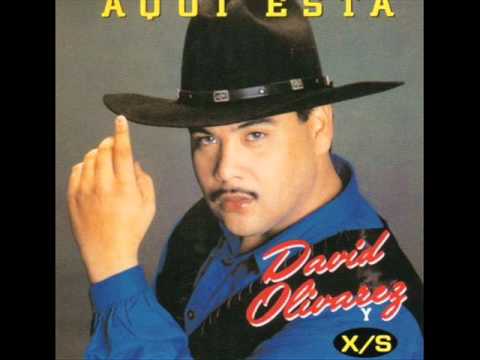 Sin cariño - David Olivares