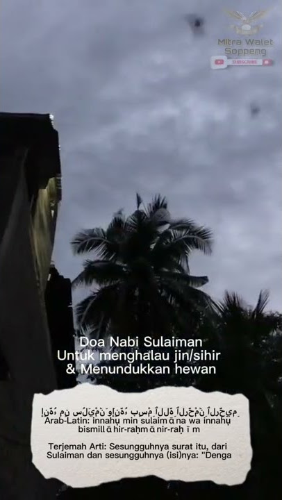 🔘 Masya Allah, Doa nabi sulaiman bisa menundukkan segala hewan