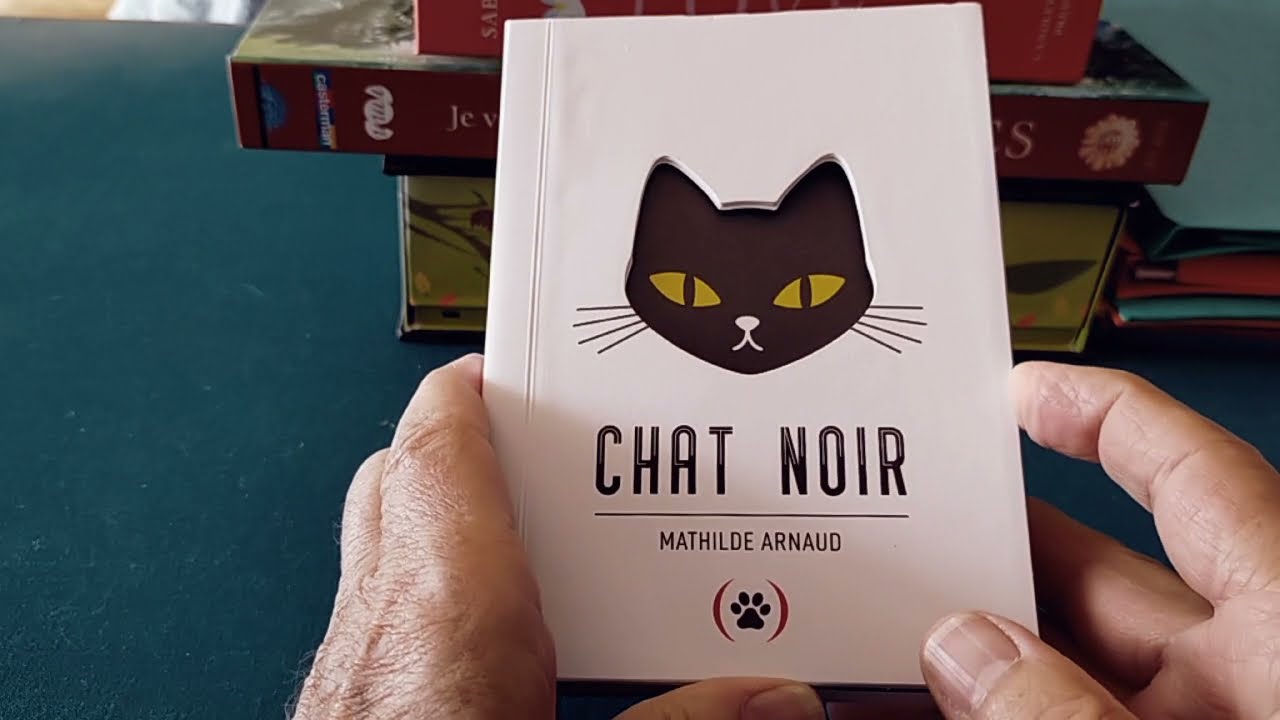 Chat noir  pop-up présenté par Pop-Up-Féerie