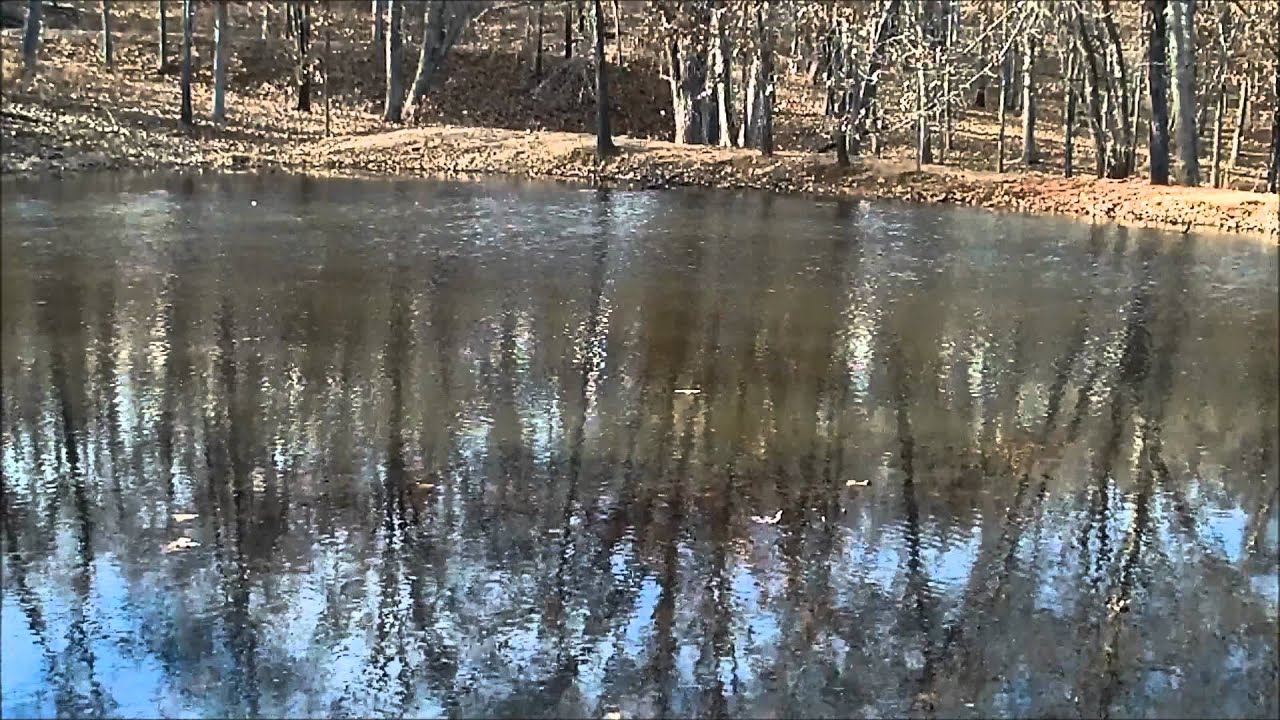 Winter Pond Fishing With The Family YouTube winter-pond-fishing-with-the-family-youtube