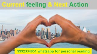 No Contact Situation On Off Situation Current Feelings And Next Action Angel Guidence Your Progress