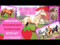 Breeding STALLION Strawberry Shortcake to my TOP mares! Part 1. Rival Stars Horse Racing