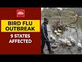Nine states confirm bird flu cases