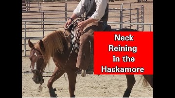 Neck Reining in a Hackamore