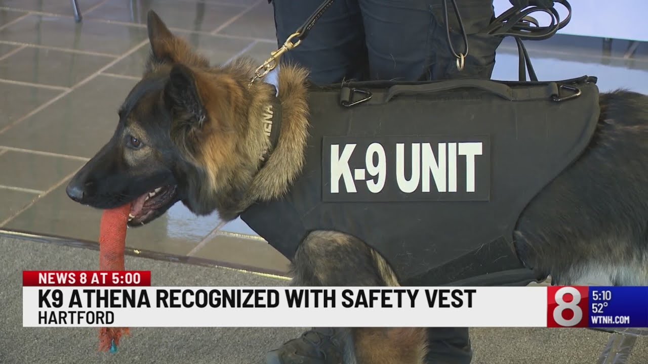 Hartford HealthCare security dog becomes a K9