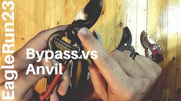 Pruner Types: Anvil vs Bypass