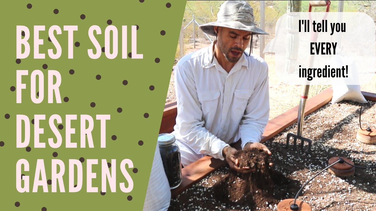 THE BEST raised garden bed soil mix for desert regions Every