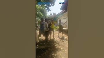 HUJAN ANGIN 3 Pohon Tumbang di Bondowoso, 1 Timpa Rumah Warga