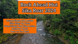 Rocks Ahead Hut  Sika Roar 2024