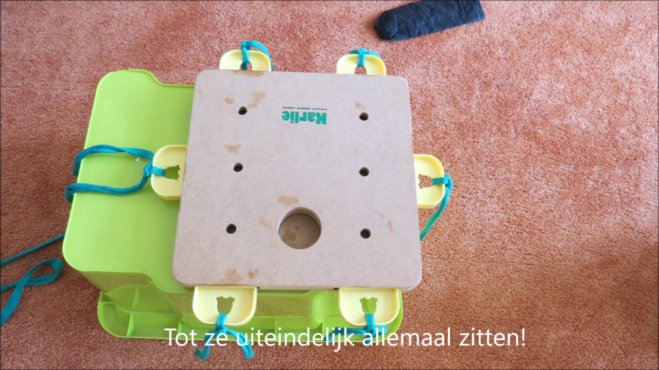 Karlie brain train Cube YouTube