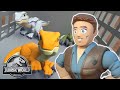 Jurassic World | Baby Raptor Round Up | Imaginext | I Kid Commentary Series | Kids Animation