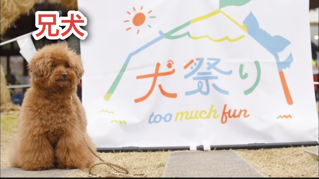 【犬祭り2024】ぎふ清流里山公園行ってきた！