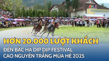 Bắc Hà thu hút hơn 20.000 lượt khách dịp Festival Cao nguyên trắng mùa hè 2025  | THLC