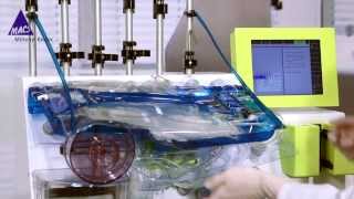 How to Isolate Antigen-Specific T Cells for Adoptive T Cell Therapy