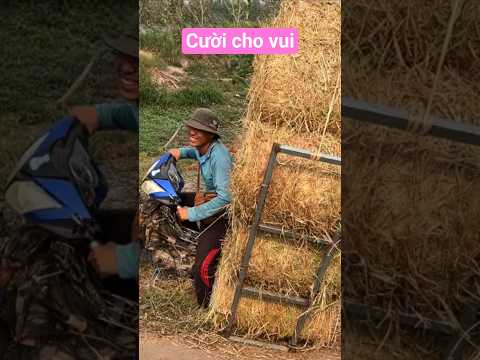 lên không nổi mệt lắm nhưng vẫn cười #shorts