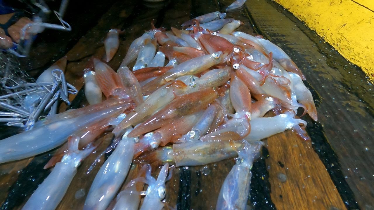 LULA NA TARRAFA  -  anéis de lulas frito