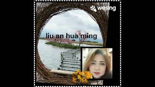 柳暗花明 Liu An Hua Ming Linda