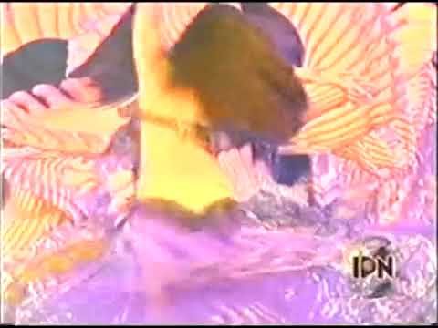 یار یار یارمه ناهید 