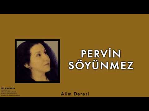 Pervin Söyünmez - Alim Deresi [ Gel Cananım © 2004 Kalan Müzik ]