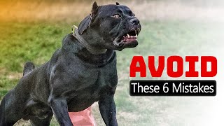 Avoid These 6 Mistakes❌ with Your Cane Corso