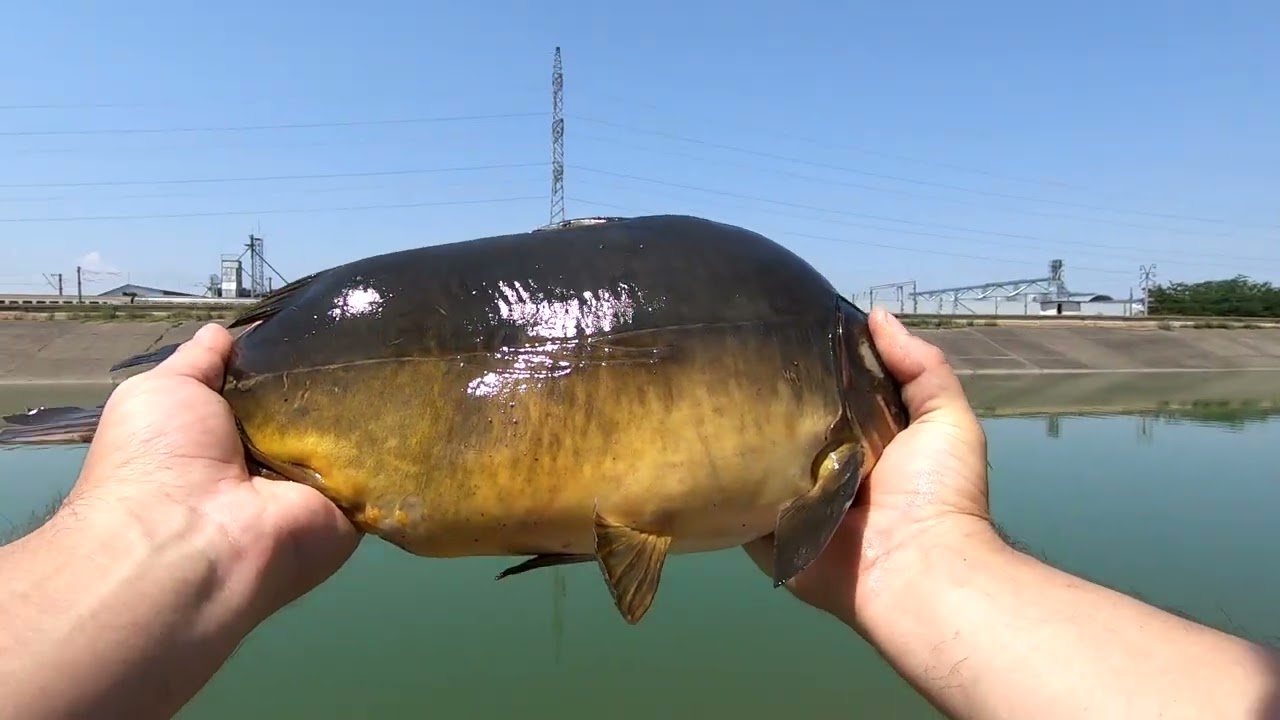 Am Prins Salonta mare pe Canal Siret Baragan