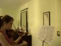 Vivaldi summer movement 3 presto with violin solo