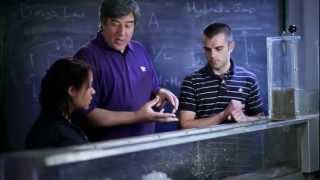 Famous Kansas State University | Research Profile