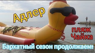 картинка: Адлер/Сочи/18 октября/купаемся и загараем