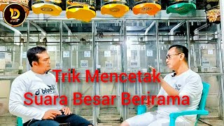 Tips & Trik Mencetak Suara Perkutut Besar Berirama ala D'blue BF Surabaya
