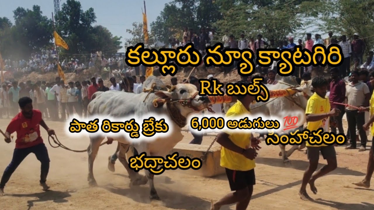 కల్లూరు న్యూ కాటగిరి విభాగం 7 వ జత Rk బుల్స్ (సింహాచలం & భద్రాచలం)🦁🦁🦁👈👈