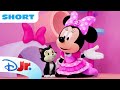 Minnie and Daisy Teach the Pets a New Dance! 🪩🎀 | Minnie's Bow-Toons: Pet Hotel | @disneyjr