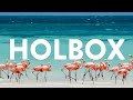 Holbox - Mexican Caribbean ✨⁣