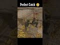 Zweihander - ELDEN RING #eldenring #eldenringclips #eldenringdlc #gaming
