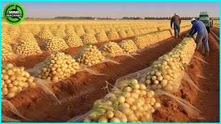 The Most Modern Agriculture Machines That Are At Another Level , How To Harvest Potatoes In Farm ▶5