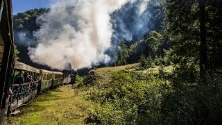 Claude Ciari Vert Galant