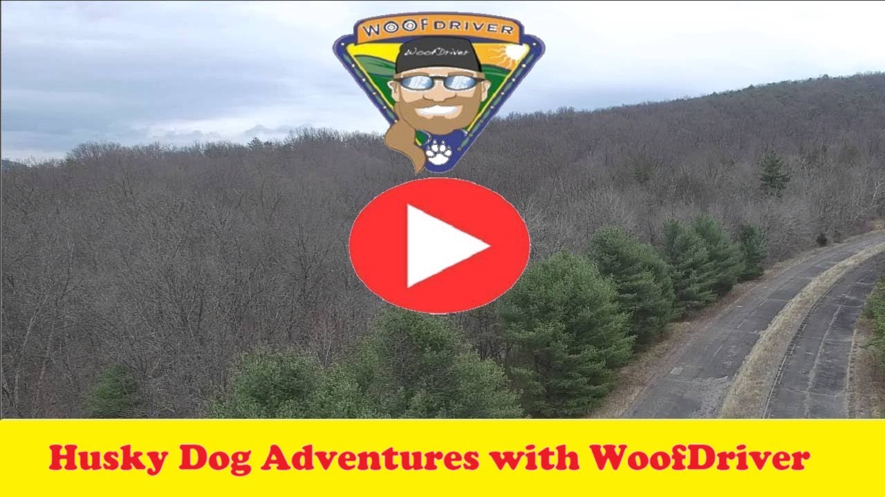 Adventures with Husky Dogs RUFFHour on the Abandoned PA Turnpike Drone View Part 3 husky siberiano blanco