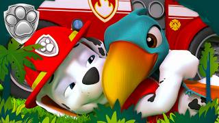 Marshall Saves a Baby Pterodactyl Mighty Pups PAW Patrol