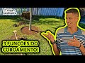 Como fazer coroamento em árvores e frutíferas | Vida de Jardineiro