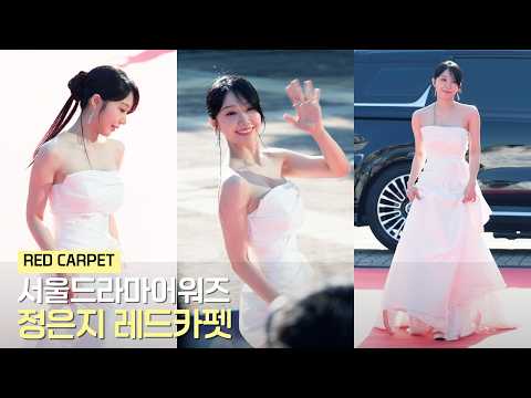 JEONG EUN JI at the Seoul Drama Awards Red Carpet | 10/26/2026
