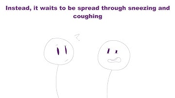 Staphylococcus Aureus