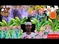 Surah Maryam Al Anbiya Heart Touching Quran Sh Afif Muhammad Surah Maryam Al Anbiya Heart Touching Quran Sh Afif Muhammad