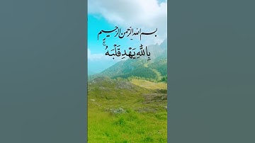 القرآن الكريم بصوت الشيخ سعد الغامدي #like #اكسبلور #qoran #القرآن_الكريم #لايك