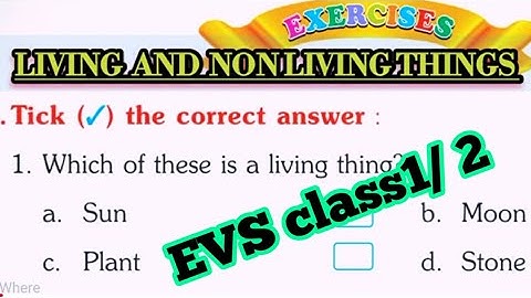 class 2 EVs worksheet  ||class 2 Living things and Non living things ||EVS class 2||@sckidsclasses